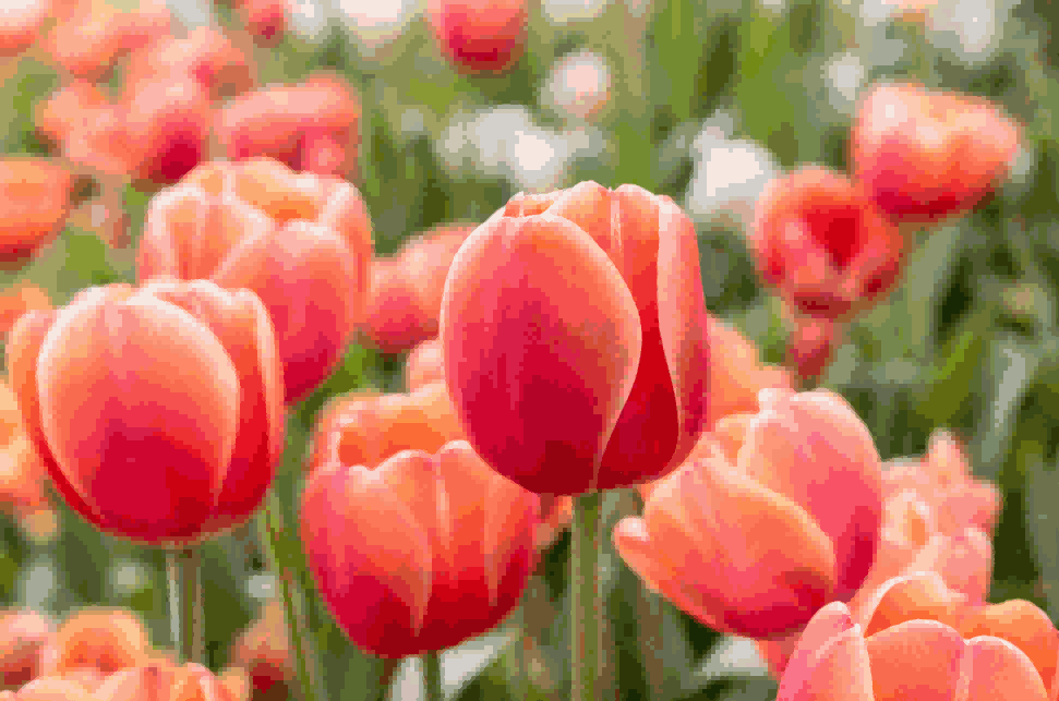 海关数据,ballbet贝博海关数据,荷兰海关数据